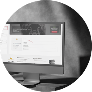 Binnen 24 uur: Dossier gestart, geen tijdverlies