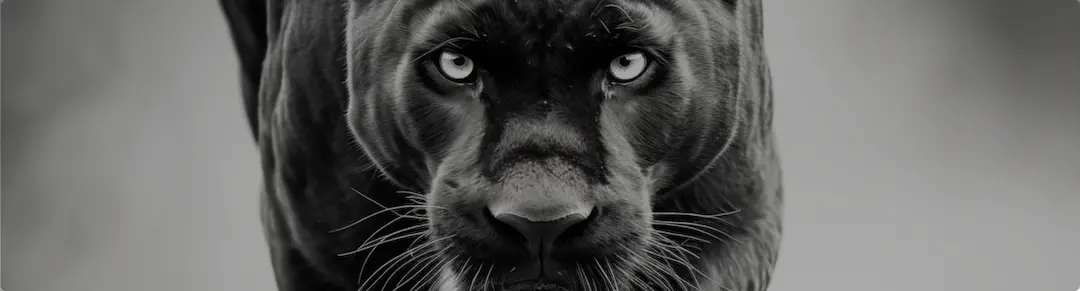 Fearless Banner